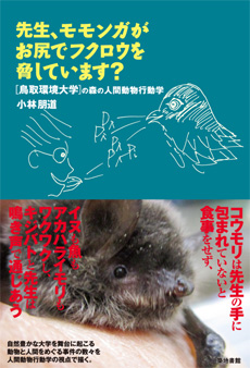 先生、モモンガがお尻でフクロウを脅しています？の画像