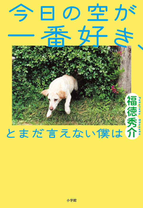 今日の空が一番好き、とまだ言えない僕はの画像
